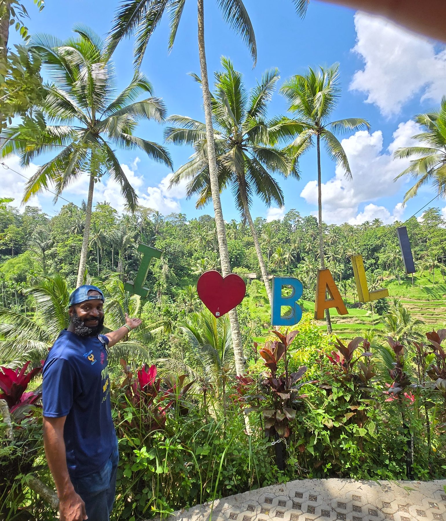 Bali rice terraces and tropical landscape