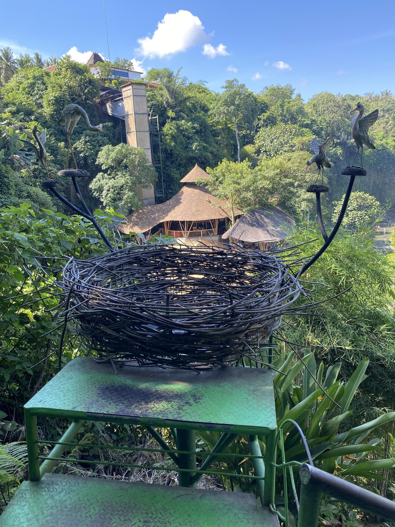 Bali jungle viewpoint and woven nest