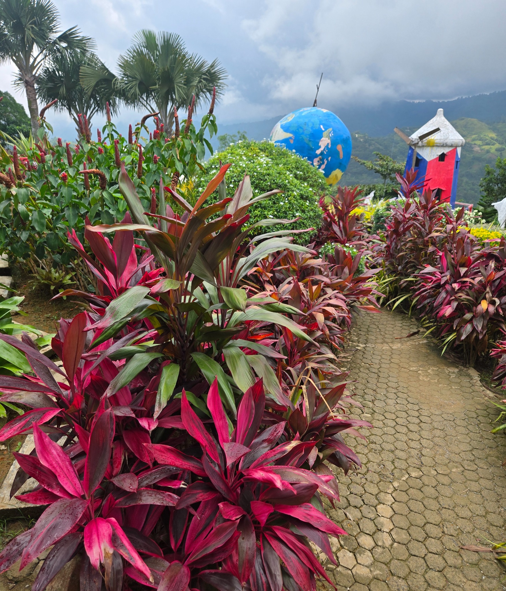 Darnell among the flowers at Sirao Garden